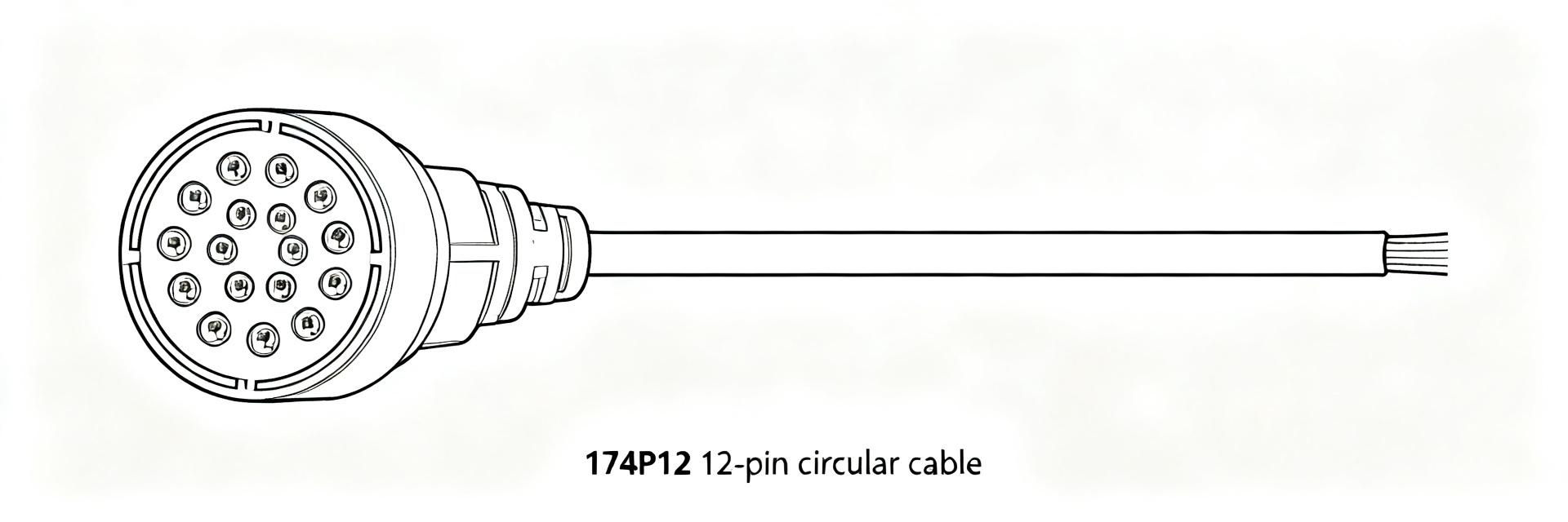 174P12 Cable Assembly: Complete Datasheet & Key Specs